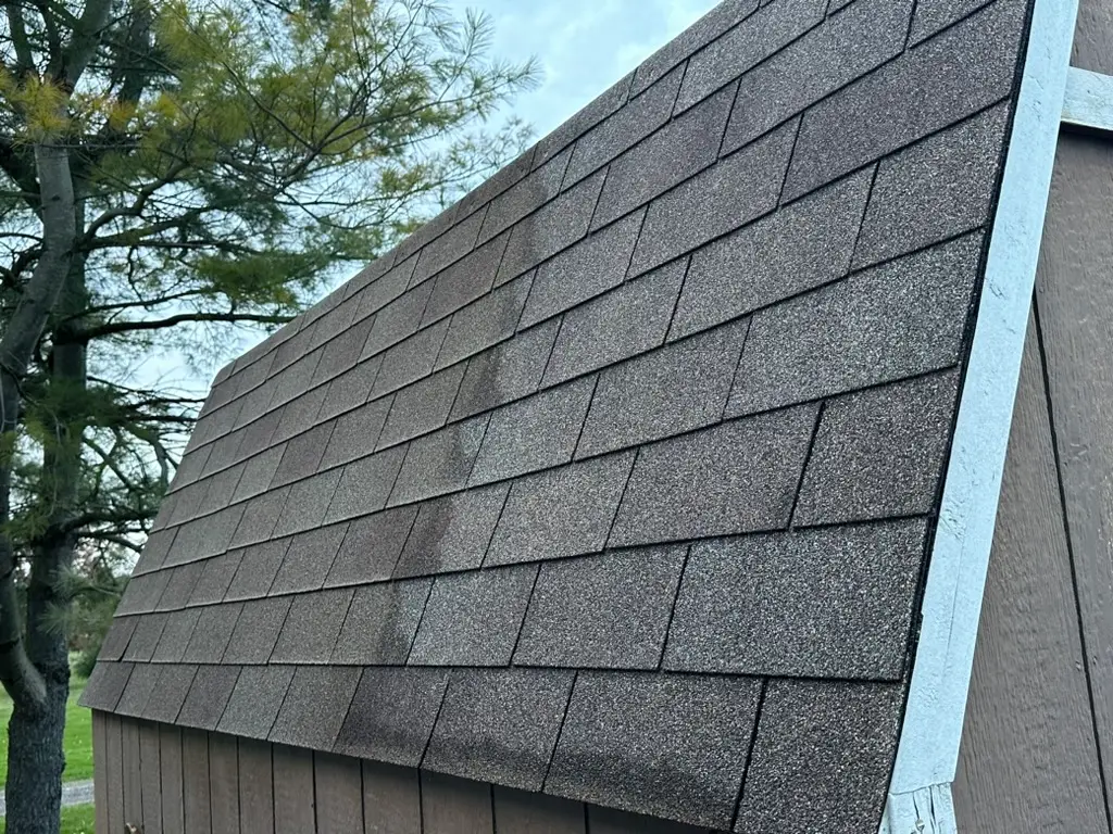 Roof Cleaning Delaware County, OH