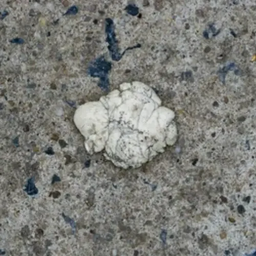 Gum Removal Delaware County Sticky Gum on a Concrete
